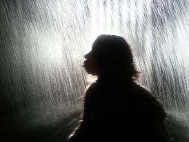 The Rain Room