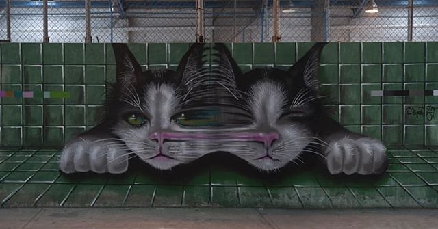 GLOBAL STREET ART — #FromOurWebsite⠀⠀⠀⠀ ‘El gato de Schrodinger’ by…