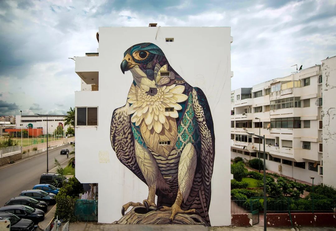 4 Photos of Falcon – Mural by Alegria del Prado in Rabat, Morocco