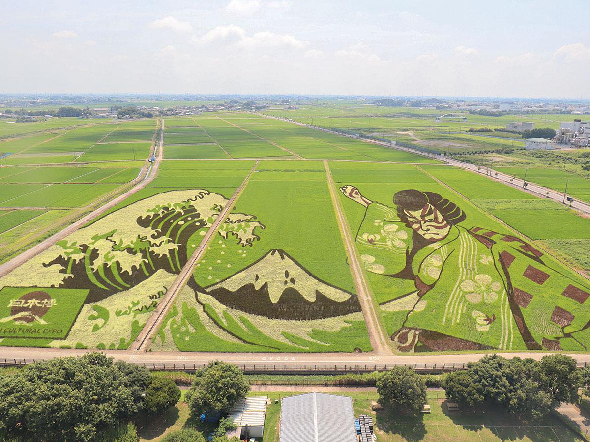 4 pics: The Japanese city Gyoda transforms agricultural land into works of art