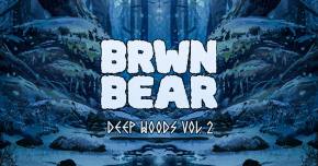 BRWN BEAR shares 30 minutes of original tunes on DEEP WOODS VOL 2