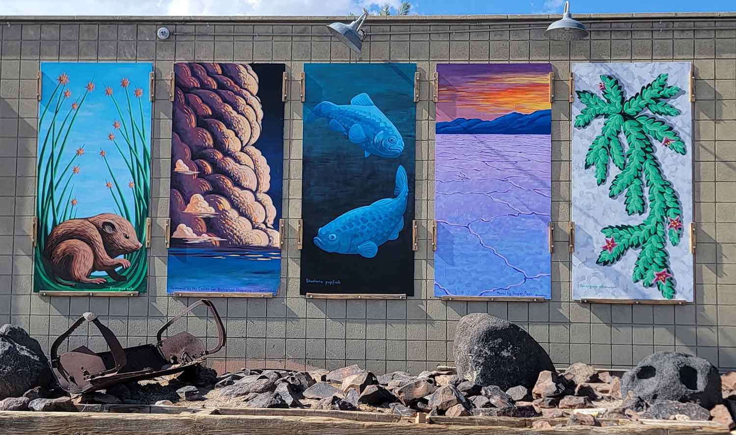 Endangered Species Murals: Desert Endemics in Shoshone, CA